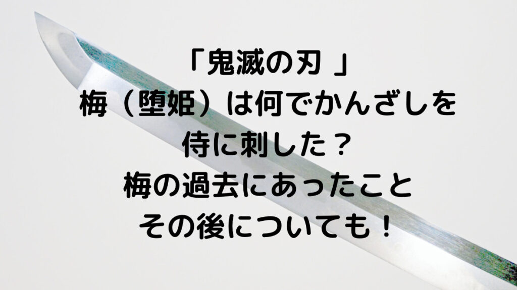 鬼滅の刃 梅は何でかんざしを侍に刺した 過去やその後についても ずっきーblogroom